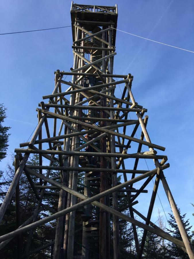 Gite Les Dryades Gérardmer Exterior foto